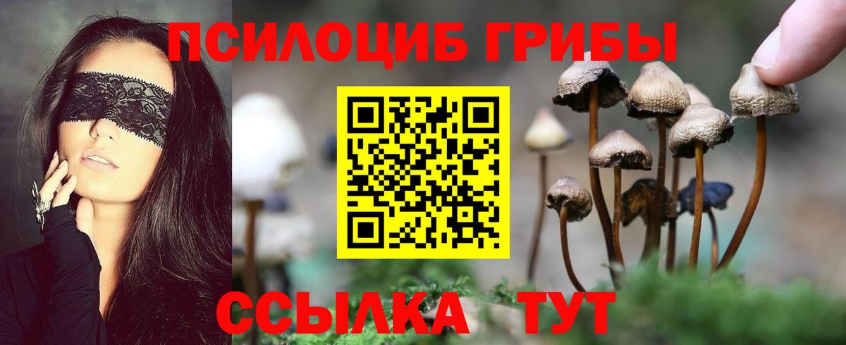 Галлюциногенные грибы Psilocybine cubensis Белебей