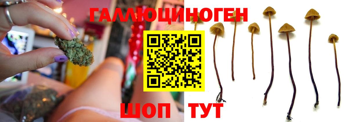 Белебей  Галлюциногенные грибы MAGIC MUSHROOMS  закладка  Вход с VPN 